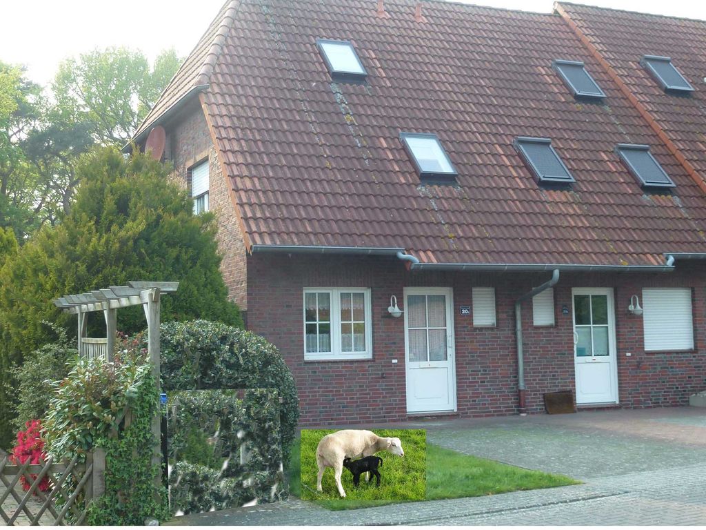 Diese Beiden sind nur am Deich zu finden...