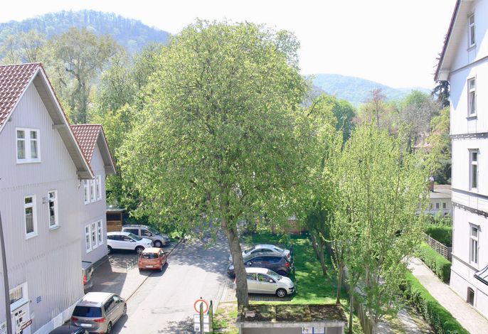 Bild 19