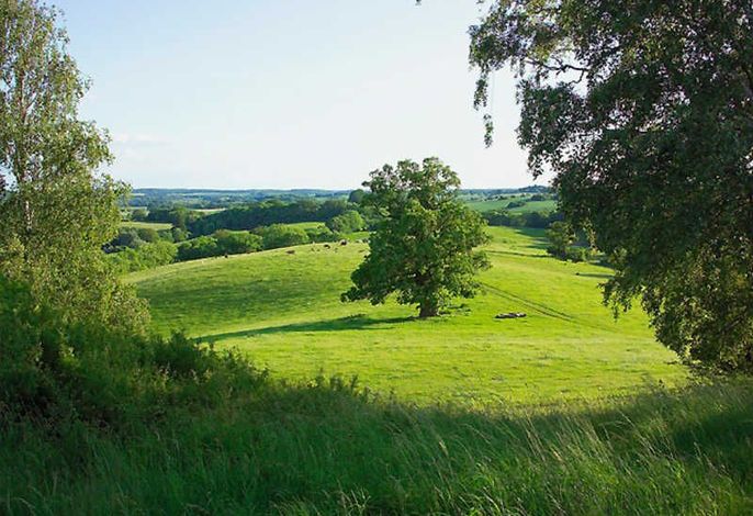 schöne Aussichten