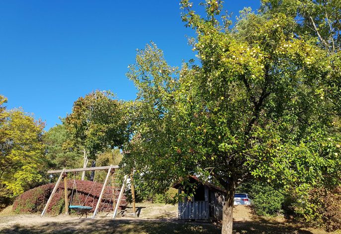Bild 14