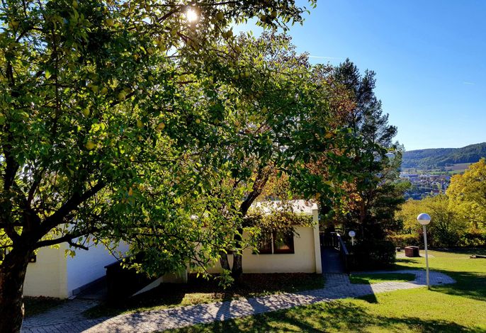 Bild 2