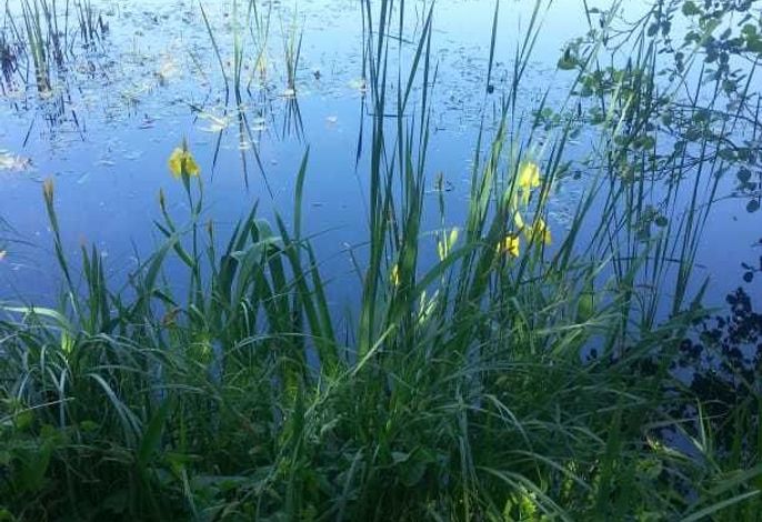 Bild 13