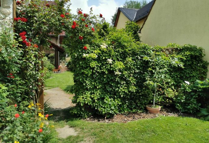 Bild 12