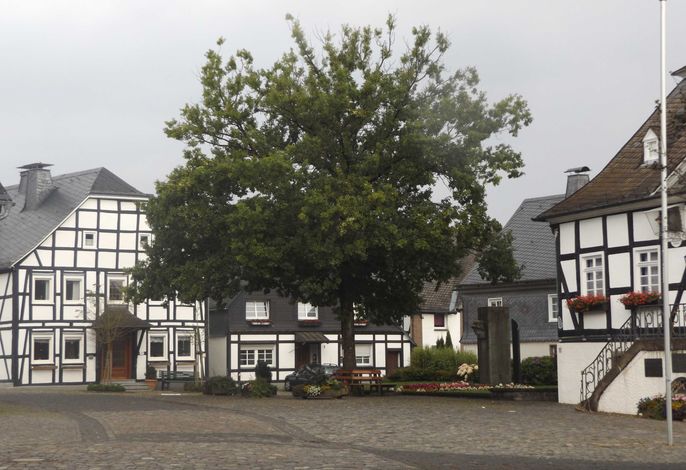 Bild 7