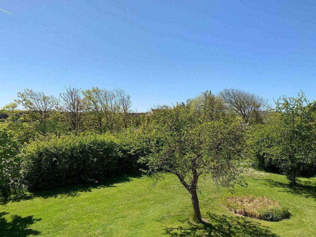 Blick in die parkähnliche Grünanlage