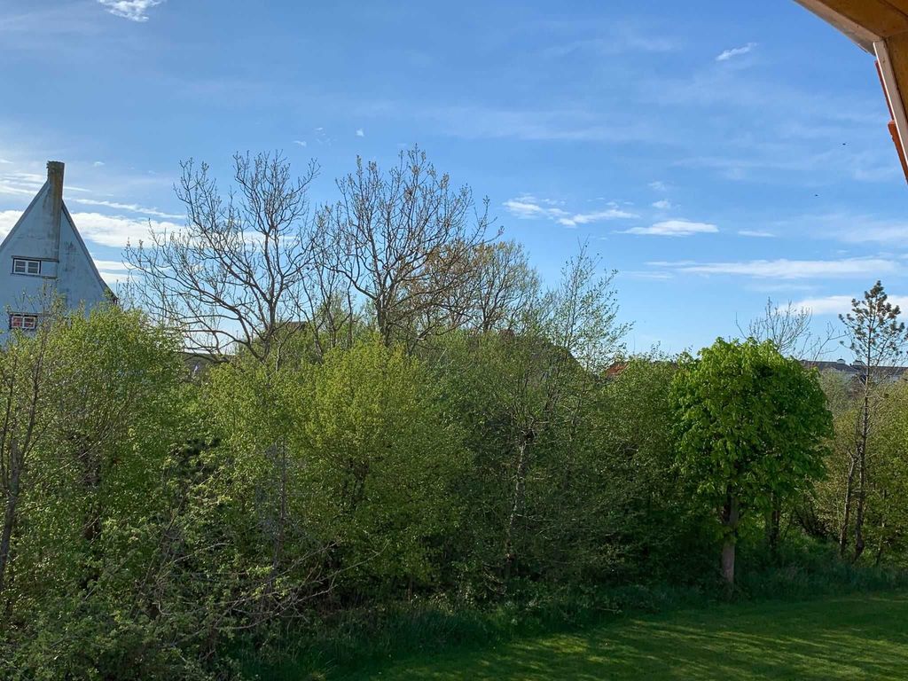 Blick zum Deich